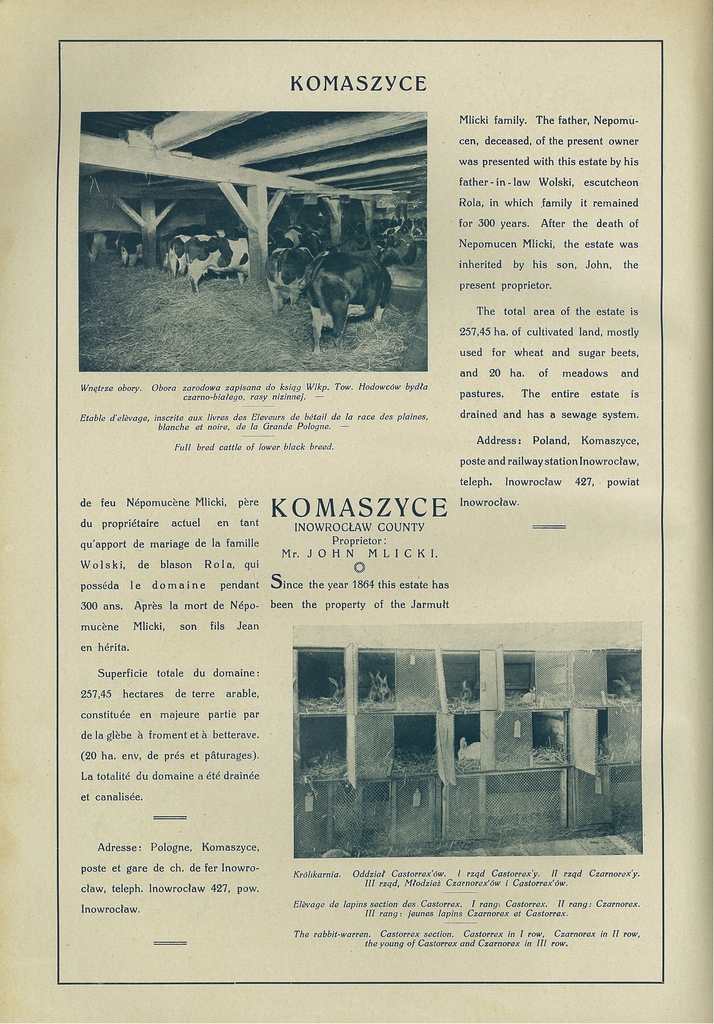 082 komaszyce.jpg
